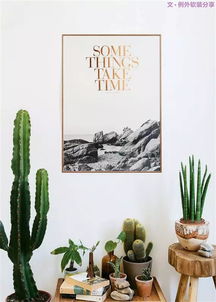 不能不知的家居綠植選擇 養護技巧,居家必備